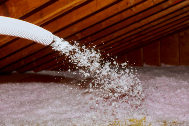 Best Insulation Installation Services in Manassas, VA